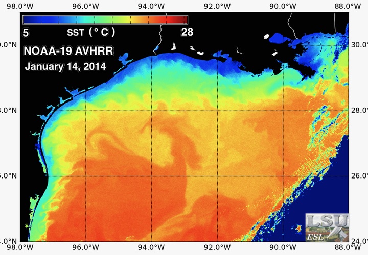 NOAA-19 Eddy Image of the Week