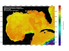 May 29 2019 ABI GOM Composite SST