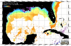 Dec 11 2017 NOAA 1-Day Composite