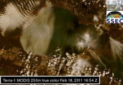 Feb 18 2011 16:54 MODIS 250m PONTCH