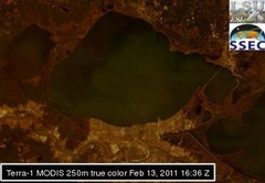 Feb 13 2011 16:36 MODIS 250m PONTCH