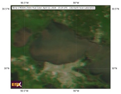 Apr 12 2024 15:25 MODIS 250m LAKEPONTCH