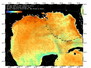 Gulf of Mexico SST