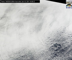 Jan 10 2011 16:55 MODIS 250m MRP