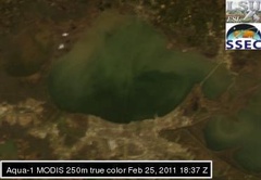 Feb 25 2011 18:37 MODIS 250m PONTCH