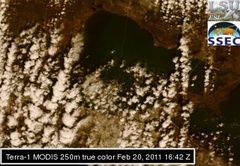 Feb 20 2011 16:42 MODIS 250m PONTCH
