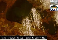 Feb 17 2011 16:12 MODIS 250m PONTCH