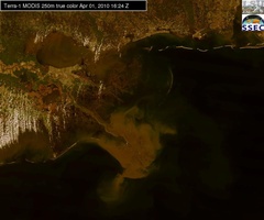 Apr 01 2010 16:24 MODIS 250m MRP