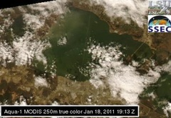 Jan 18 2011 19:13 MODIS 250m PONTCH