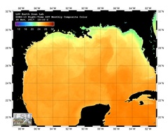 Latest GOES MONTHLY SST image