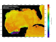 May 31 2019 ABI GOM Composite SST