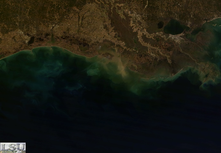 MODIS Truecolor of Sediment from Atch Bay