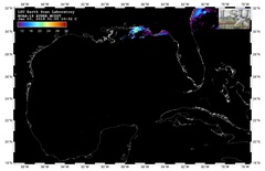 Latest AVHRR Gulf of Mexico SST image