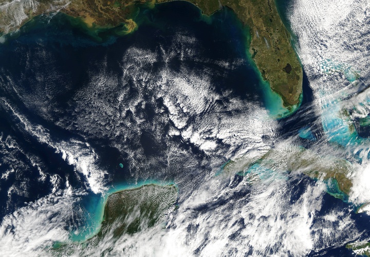 MODIS Image of Gulf HDF