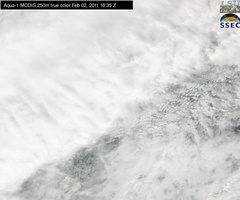 Feb 02 2011 18:35 MODIS 250m MRP