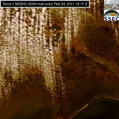 Feb 24 2011 16:17 MODIS 250m DAVISPOND