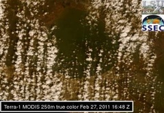 Feb 27 2011 16:48 MODIS 250m PONTCH