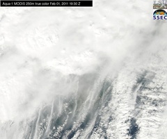 Feb 01 2011 19:30 MODIS 250m MRP