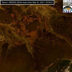 Mar 01 2011 16:36 MODIS 250m DAVISPOND