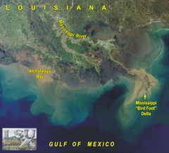 Louisiana Coastal Surveillance