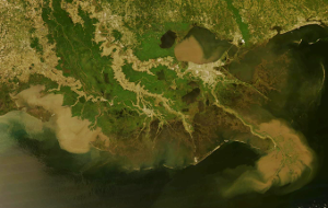 Louisiana coastal region