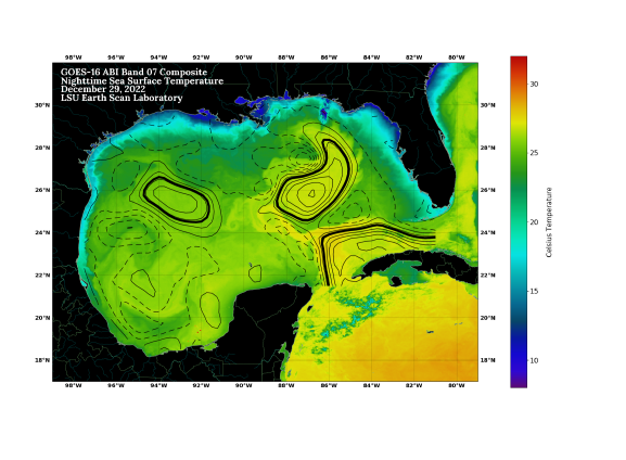 SST/SSH Gulf of Mexico image 