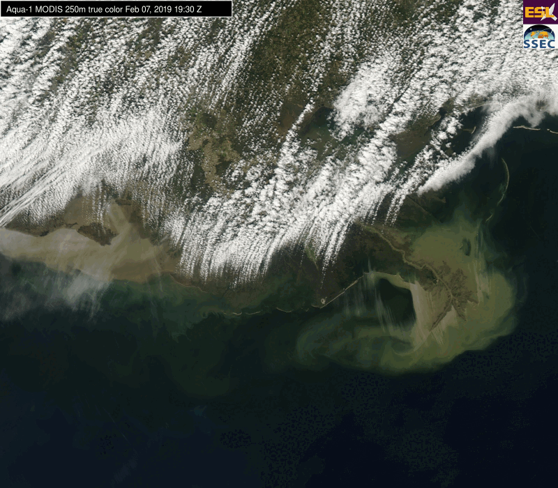 Mississippi River plume and region