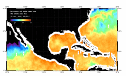 Animation of sea surface temperatures throughout 2011